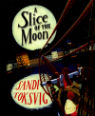 A slice of the moon by Sandi Toksvig