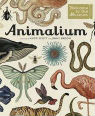 Animalium by Jenny Broom & Katie Scott