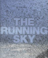 The running sky: a bird-watching life by Tim Dee