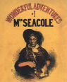 Wonderful adventures of Mrs Seacole in many lands by Mary Seacole