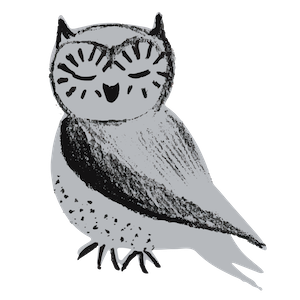 Oona the Owl illustration.