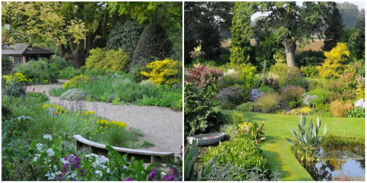 The gravel and water gardens at Beth Chatto Gardens