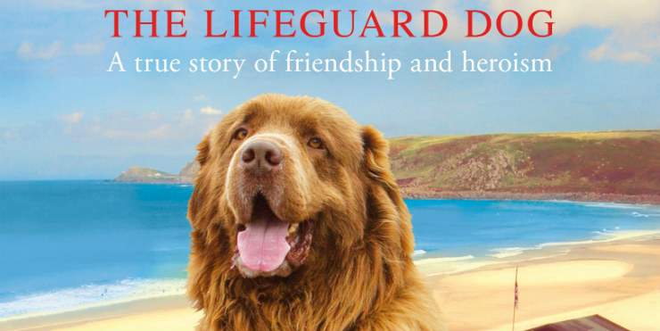 Bilbo The Lifeguard Dog