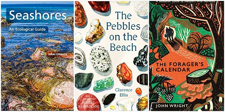 Seashores: an ecological guide, The Pebbles on the Beach, The Forager's Calender