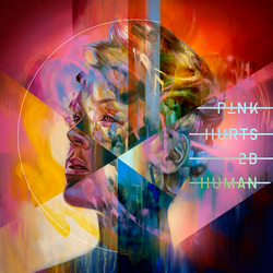 Pink - Hurts 2B Human