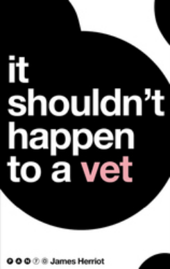 It Shouldn't Happen to a Vet