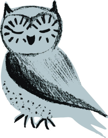 Oona the Suffolk Libraries Wordplay owl