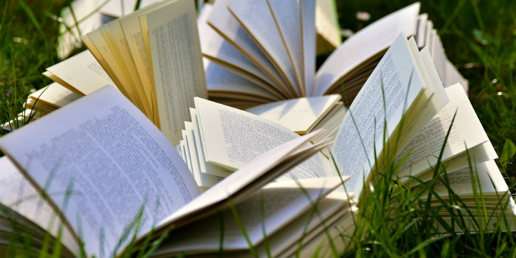 Books in grass