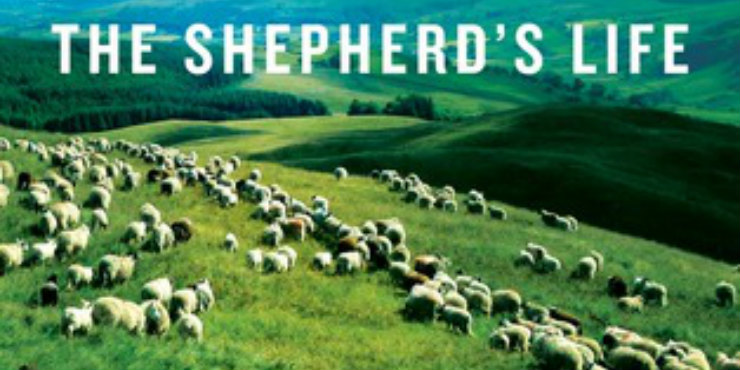 The Shepherd's Life